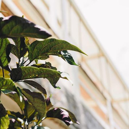 Appartamento Monet Garden Coffee Farm Chinan Esterno foto